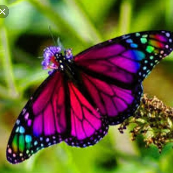 Meet your Posher, Karla - Picture 1 of 1